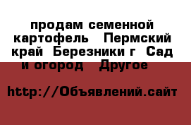 продам семенной картофель - Пермский край, Березники г. Сад и огород » Другое   